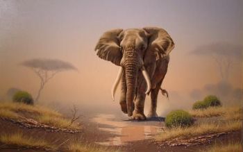 "ELE 001 Tusker"