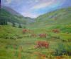 "Highland Cattle"