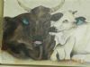 "Cattle"