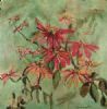 "Still Life with Poinsettias"