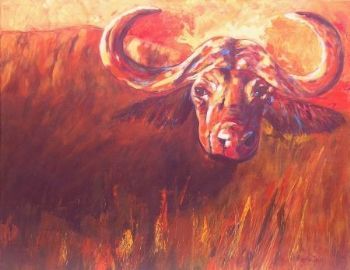"Buffalo - Can you see my Soul?"