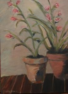 "Orchids in Claypots"