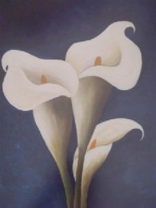 "arum lilies"