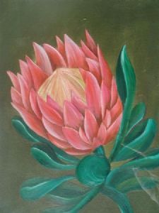 "protea"