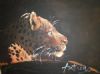"Leopard"