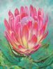 "Protea in the Mountains"