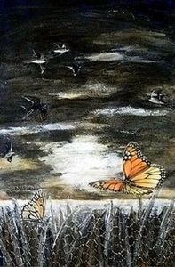 "Butterflies at Dawn"