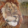 "Mufasa"