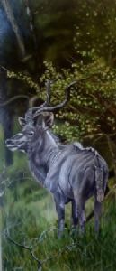 "Kudu in African Bush"