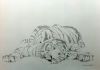 "Tiger Cub"