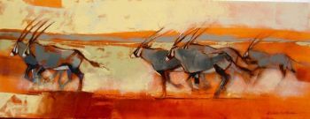 "Gemsbokke"