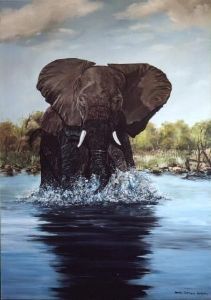 "Namibian Elephant"