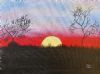 "Sunset in the Bush "