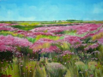 "Fields of flowers"