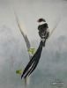 "Pin Tail Whydah"