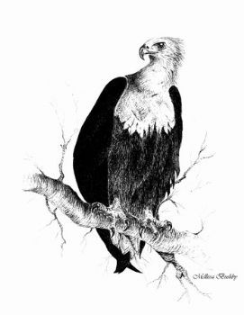 "The Guardian"