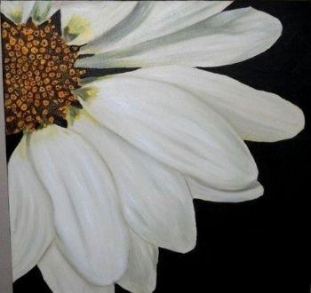 "White Daisy"