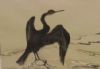 "Cormorant Zandvlei Trust 2003"