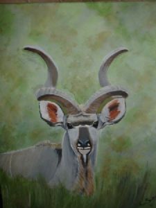 "Majestic Kudu"