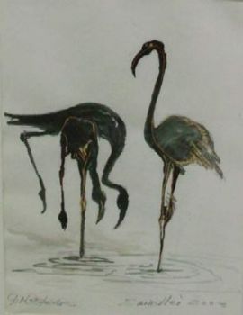 "Flamingo Zandvlei 2003"