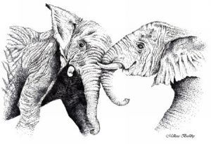 "Elephant Tussle"