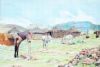 "Lesotho Village"