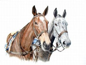 "Polo Horses"
