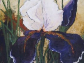 "Iris"