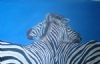 "Zebras"