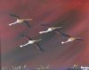 "Flamingoes in Distress"