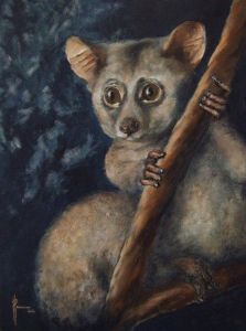 "Bushbaby"