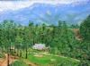 "Katberg Eco Golf Estate Early Days"