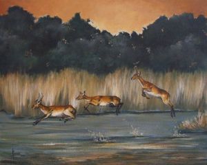 "Lechwe"