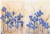 "Field Irises"