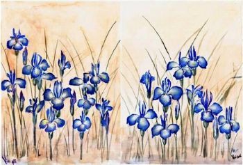 "Field Irises"