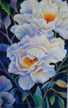 "White Peonies 1"