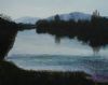 "Cape Town Vlei"