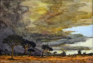 "After a Lowveld Storm"