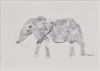 "Elephant"