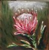 "Protea"