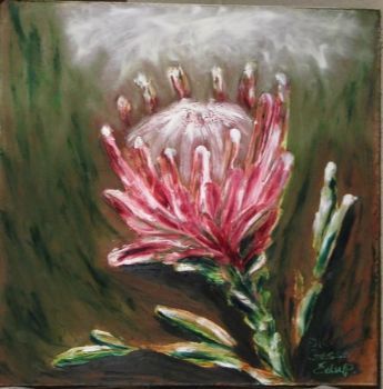 "Protea"