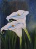 "lilies of the veld"