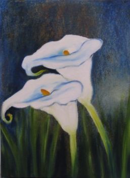 "lilies of the veld"