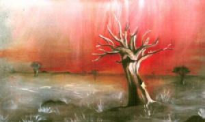 "Quiver Tree - Namibian Series"