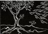 "Tree of life"
