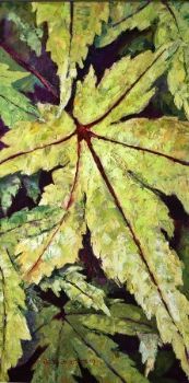 "Japanese Maple"
