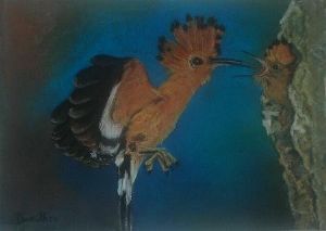 "African Hoopoe"