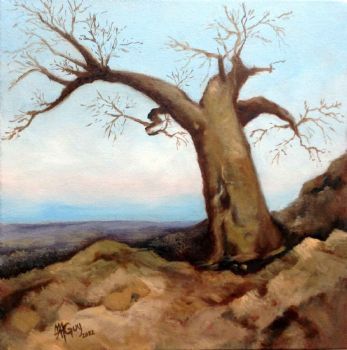 "Lonely Baobab"