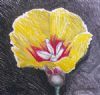 "Yellow Flower"