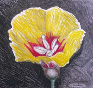 "Yellow Flower"